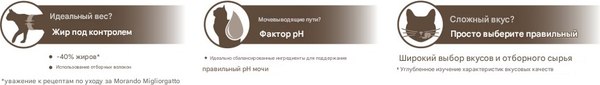 Изображение товара Влажный корм для кошек Miglior Sterilized Кусочки в желе (4x85г)