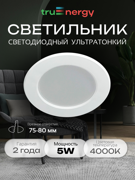 Изображение товара Точечный светильник Truenergy 10080