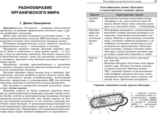 Изображение товара Учебное пособие Эксмо Биология: наглядно и доступно, мягкая обложка (Баштанник Наталья)