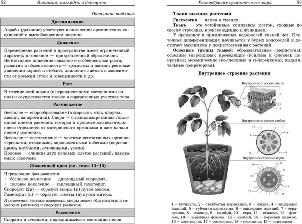 Изображение товара Учебное пособие Эксмо Биология: наглядно и доступно, мягкая обложка (Баштанник Наталья)