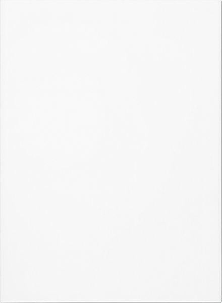 Изображение товара Панель ПВХ Европрофиль Белый матовый (2700х250х8мм)