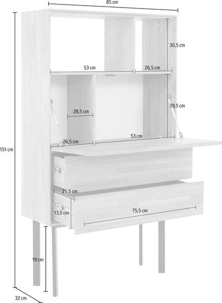 Изображение товара Тумба Dipriz Viby 850х1507H 2 ящ 1дверь / Д.20017.1 (белесый дуб)