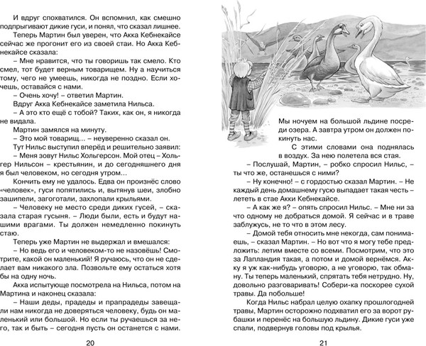 Изображение товара Книга Махаон Чудесное путешествие Нильса с дикими гусями, твердая обложка (Лагерлеф Сельма)