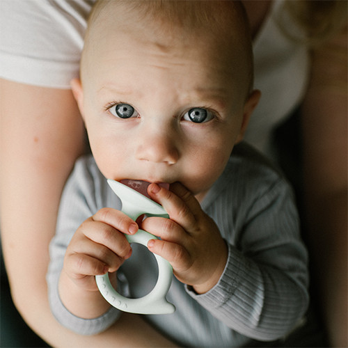 Изображение товара Прорезыватель для зубов BabyOno Улитка / 1597/02 (белый/голубой)