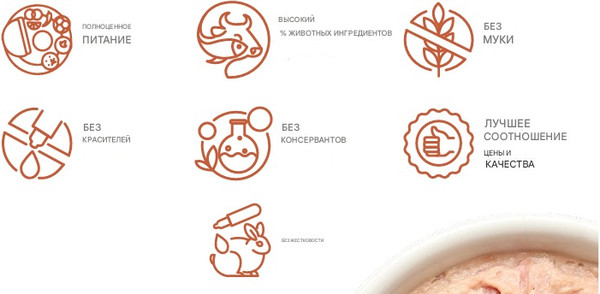 Изображение товара Влажный корм для кошек Kippy Филе курицы с креветками в соусе (70г)