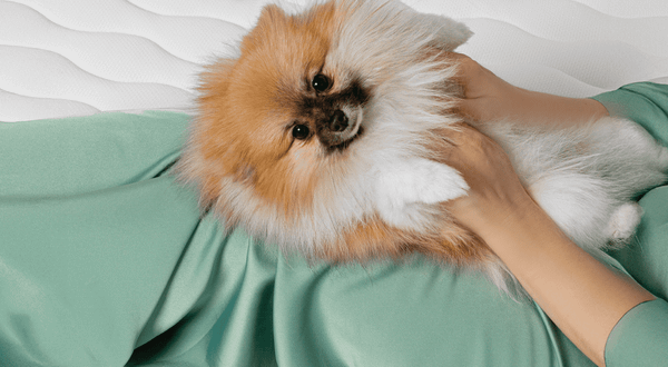 Изображение товара Матрас Natura Vera Porta 80x190