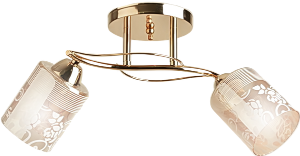 Изображение товара Потолочный светильник Aitin-Pro НПБ 02-2x60-101 / 8197/2A (золото)