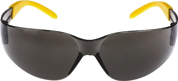 Изображение товара Защитные очки DeWalt DPG54-2D