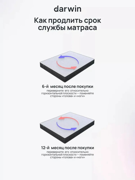 Изображение товара Матрас Darwin Maestro 80x200