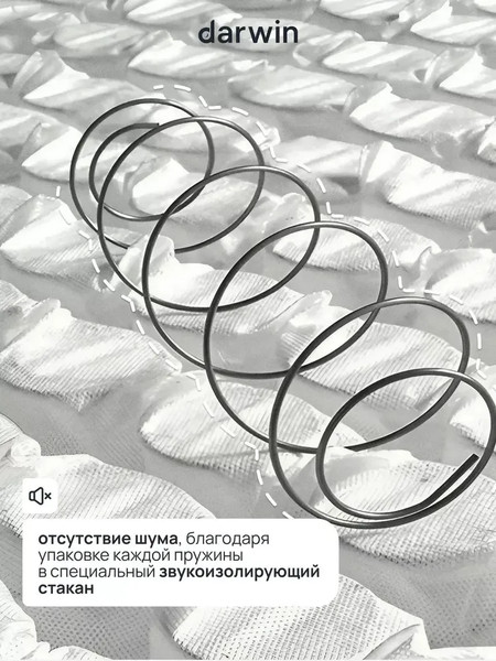 Изображение товара Матрас Darwin Maestro 80x200