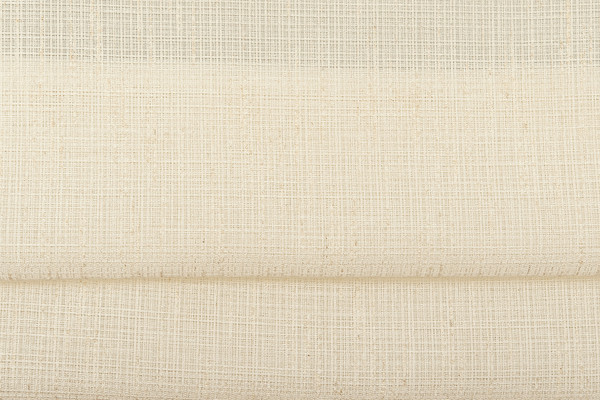 Изображение товара Римская штора Delfa Мини Armur Desenli Vual СШД-01М 560/001 (52x160, бежевый)
