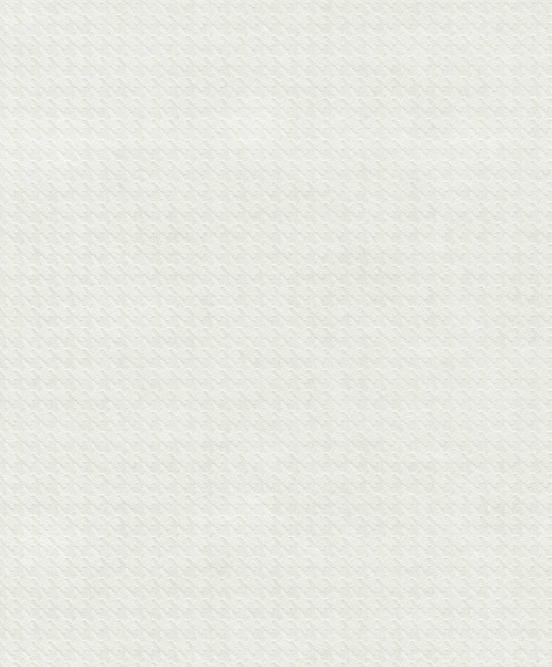 Изображение товара Флизелиновые обои Rasch 102116