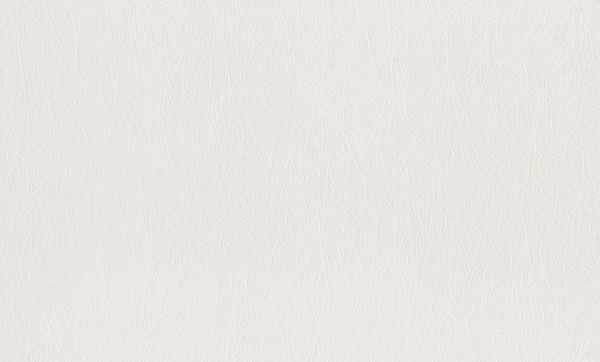 Изображение товара Флизелиновые обои Rasch 124514