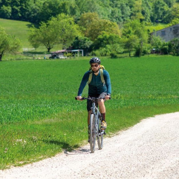 Изображение товара Сиденье для велосипеда Selle Royal Vaia Moderate / 02-300469