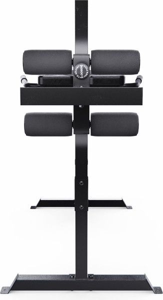 Изображение товара Гиперэкстензия DFC CAP FM-CS709BK