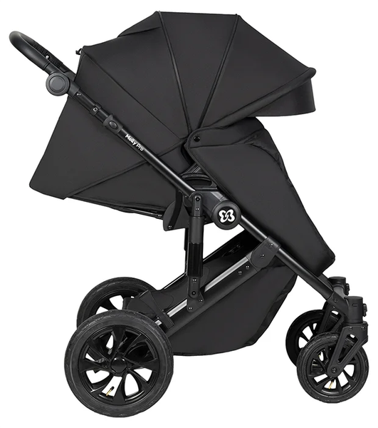 Изображение товара Детская универсальная коляска Farfello Molly Pro 3 в 1 MP-2 (черный)