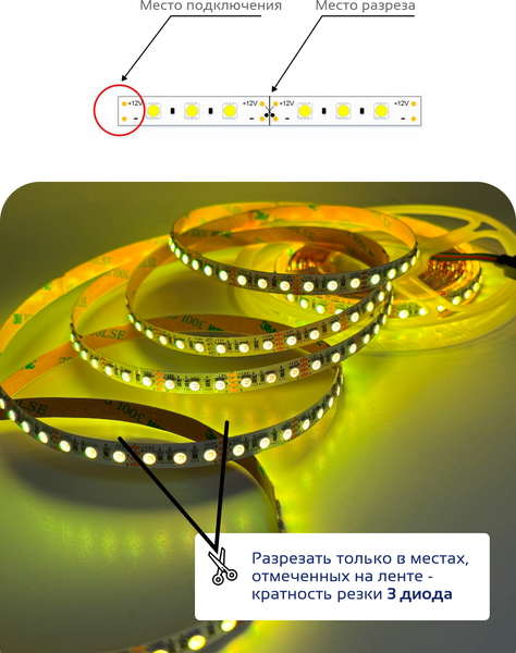 Изображение товара Светодиодная лента Truenergy 24V-120D-RGB 10W/m IP20 / 16038 (5м)