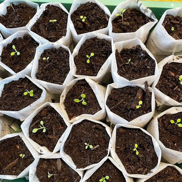 Изображение товара Пакеты для рассады Garvill 646500065A (100шт)