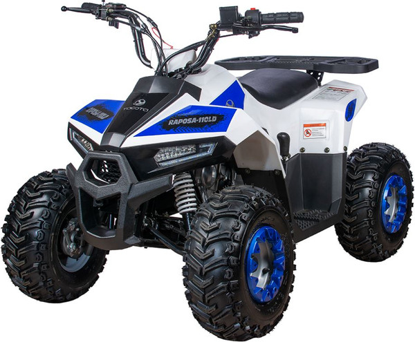 Изображение товара Квадроцикл Yacota Raposa 110 куб.см. (белый)