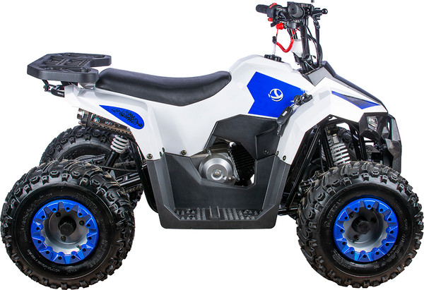Изображение товара Квадроцикл Yacota Raposa 110 куб.см. (белый)