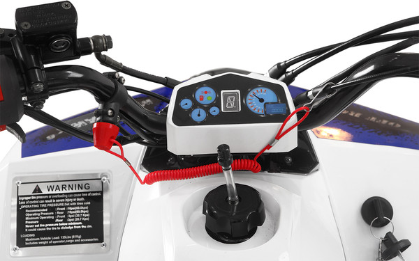 Изображение товара Квадроцикл Yacota Raposa 110 куб.см. (белый)