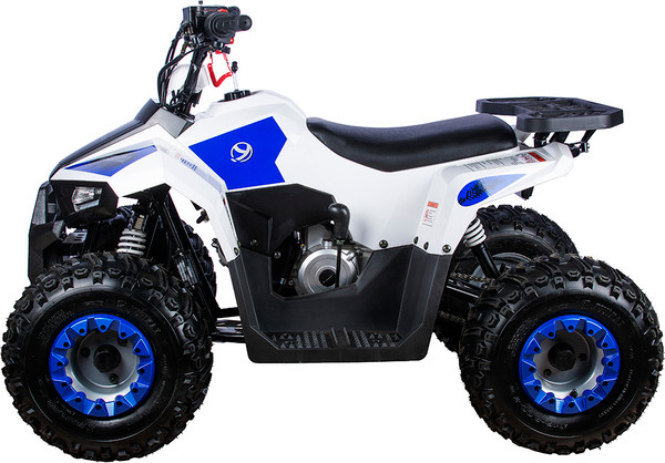 Изображение товара Квадроцикл Yacota Raposa 110 куб.см. (белый)