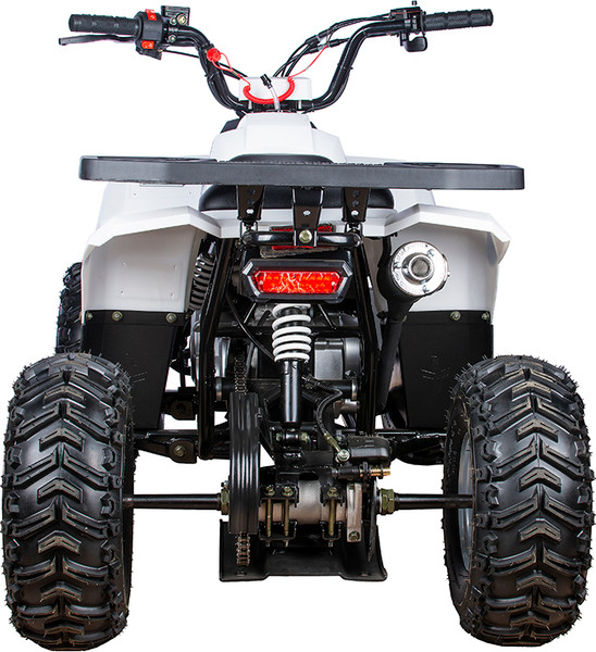 Изображение товара Квадроцикл Yacota Raposa 110 куб.см. (черный)