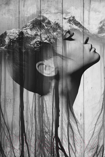 Изображение товара Картина White Wood B112-V-048-065-6.1