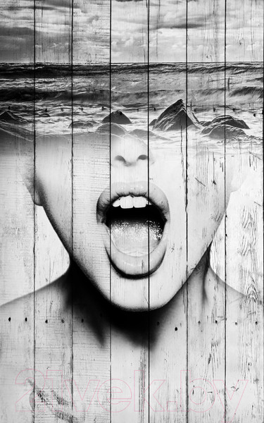 Изображение товара Картина White Wood B112-V-084-135-6.5