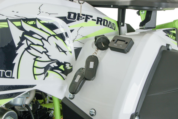 Изображение товара Квадроцикл Yacota Dragon One 125 (белый)