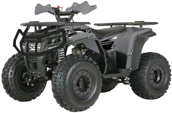 Изображение товара Квадроцикл Yacota Dragon One 125 (серый)