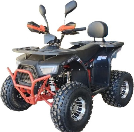 Изображение товара Квадроцикл Yacota Sirius LD 125 (черный/красный)