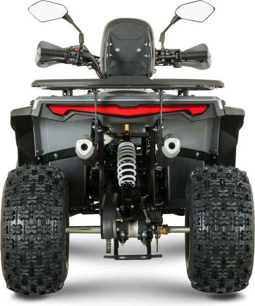 Изображение товара Квадроцикл Yacota Dragon Lux-LD 125 (серый)