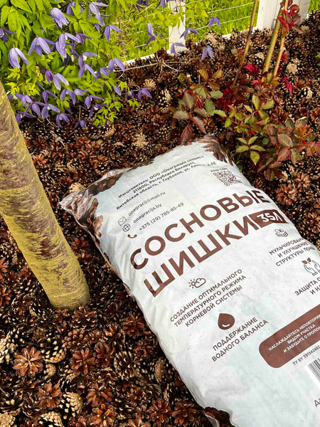 Изображение товара Мульча для растений Онаграция Шишки сосновые (35л)