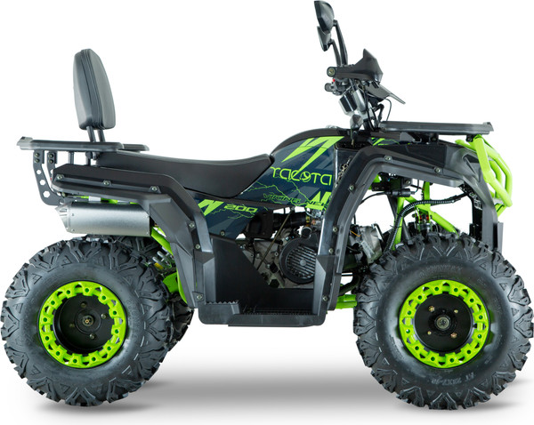 Изображение товара Квадроцикл Yacota Viking New 200 (черный/зеленый)