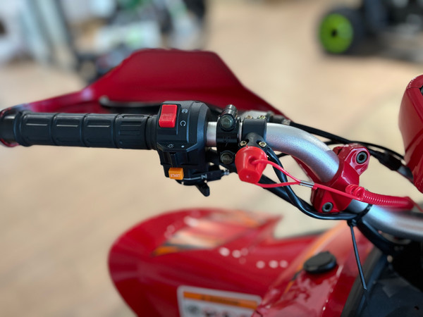 Изображение товара Квадроцикл Yacota Typhoon 250 LD (красный)