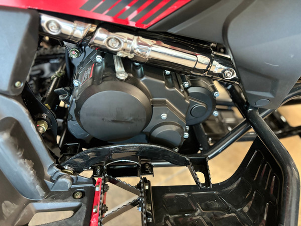 Изображение товара Квадроцикл Yacota Typhoon 250 LD (красный)