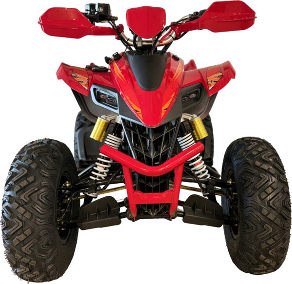 Изображение товара Квадроцикл Yacota Typhoon 250 LD (красный)