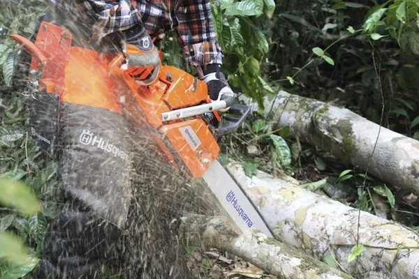 Изображение товара Бензопила цепная Husqvarna 56DL C85 X-Cut HLM X-Force / 967 08 27-15