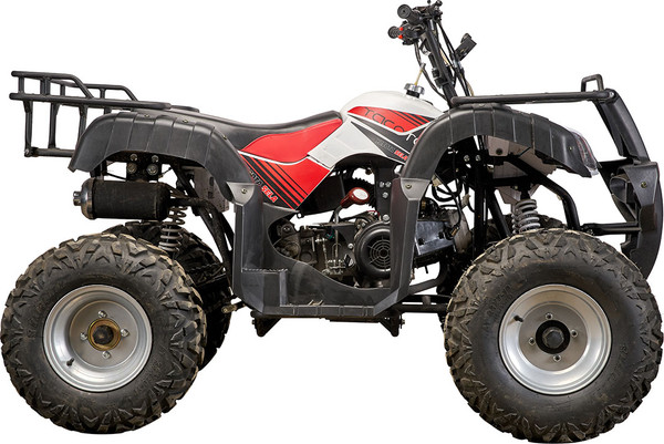 Изображение товара Квадроцикл Yacota Sela 200 (белый)