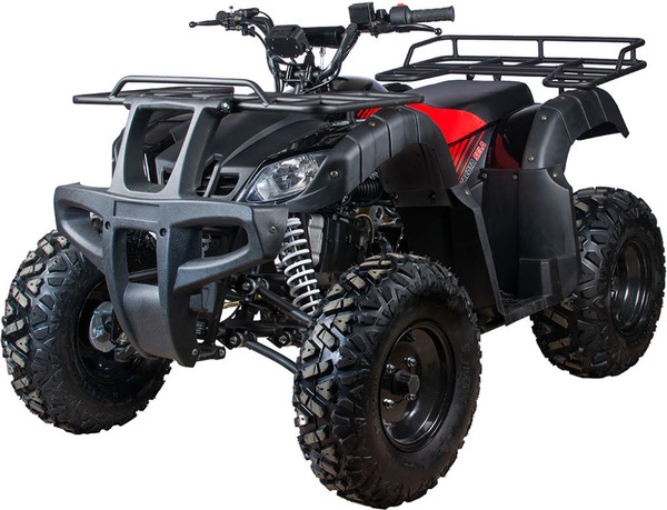 Изображение товара Квадроцикл Yacota Sela 200 (черный)