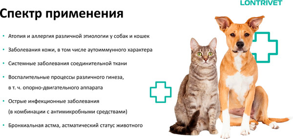 Изображение товара Таблетки противовоспалительные для животных Pchelodar Лонтривет 2.0мг (20шт)