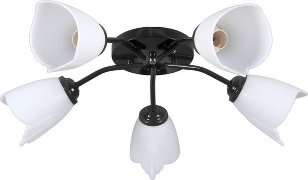 Изображение товара Люстра Lumix 1008/5-WT