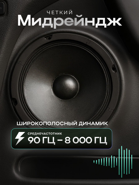 Изображение товара Среднечастотная АС Rokso CZY2502A