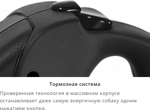 Изображение товара Поводок-рулетка Flexi Giant / GT3.251.S BE (L)