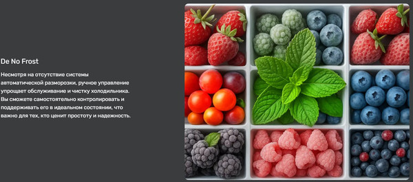 Изображение товара Холодильник с морозильником TECHNO DF2-20