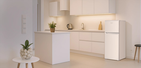 Изображение товара Холодильник с морозильником TECHNO DF2-20