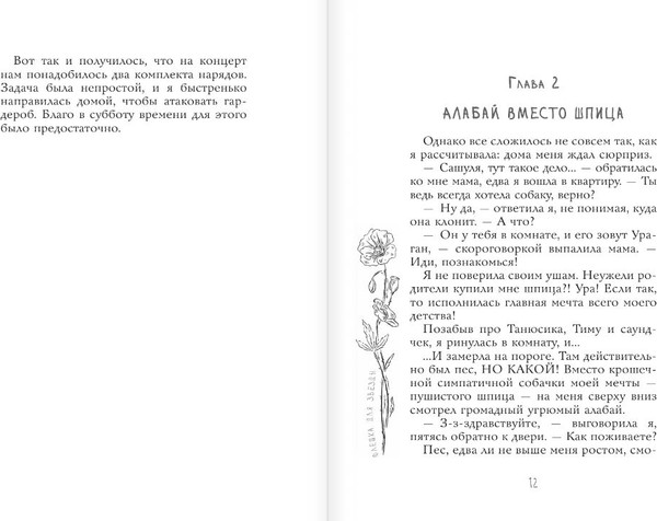 Изображение товара Книга АСТ Флешка для звезды, твердая обложка (Иванова Вера)