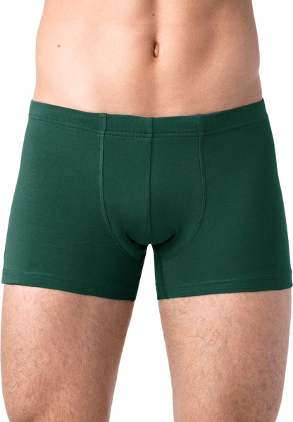 Изображение товара Трусы мужские Alfa Man 6300 (р-р 110-114, темно-зеленый)