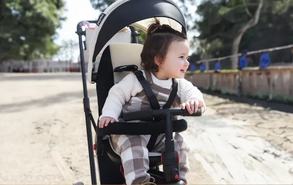 Изображение товара Трехколесный велосипед с ручкой Smart Trike STR7 Urban / 5501100 (черный)